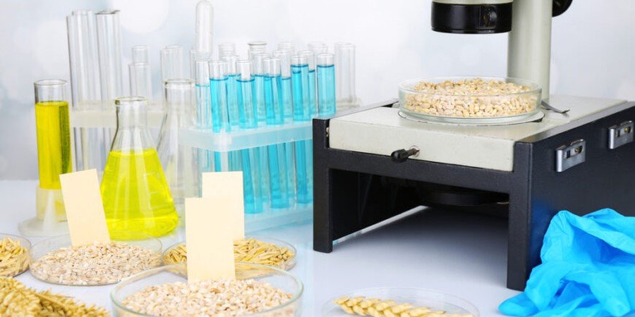 Kuruyemiş Sektöründe Kalite Kontrol Süreçleri