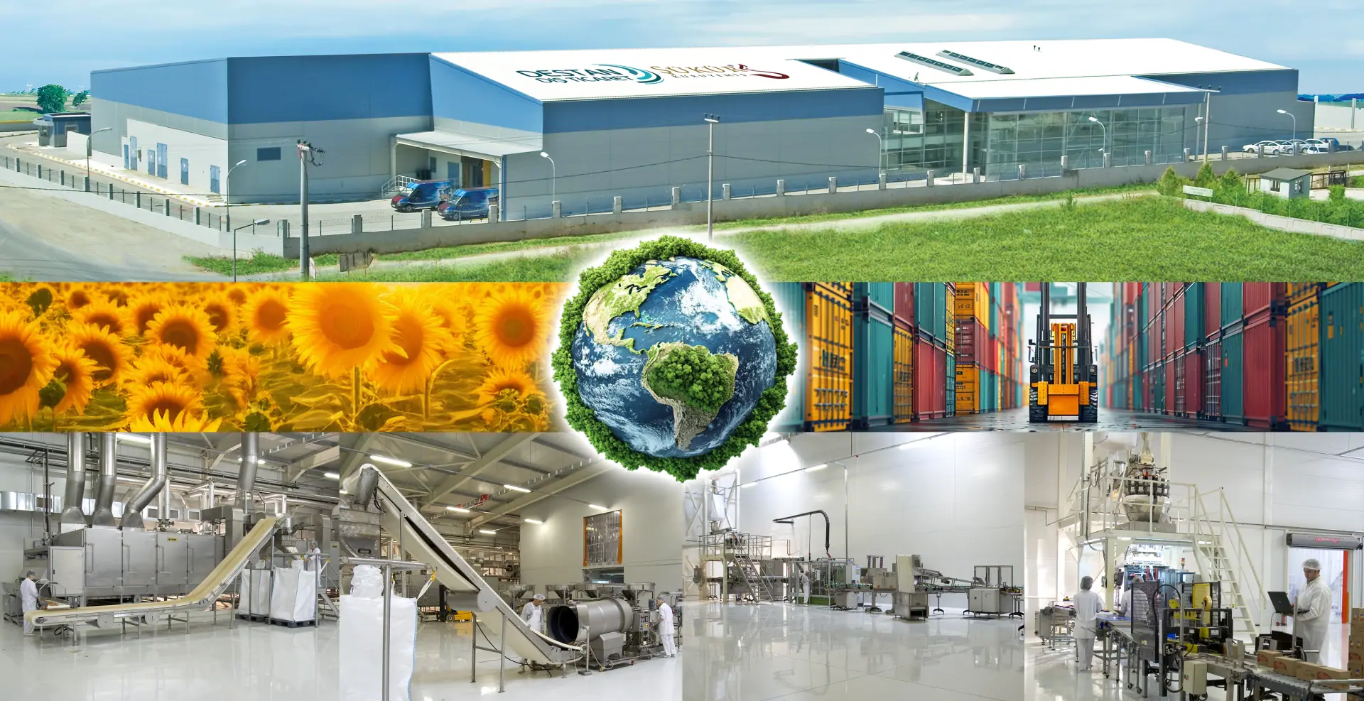 sukur-kuruyemis-destan-dis-ticaret-fabrika